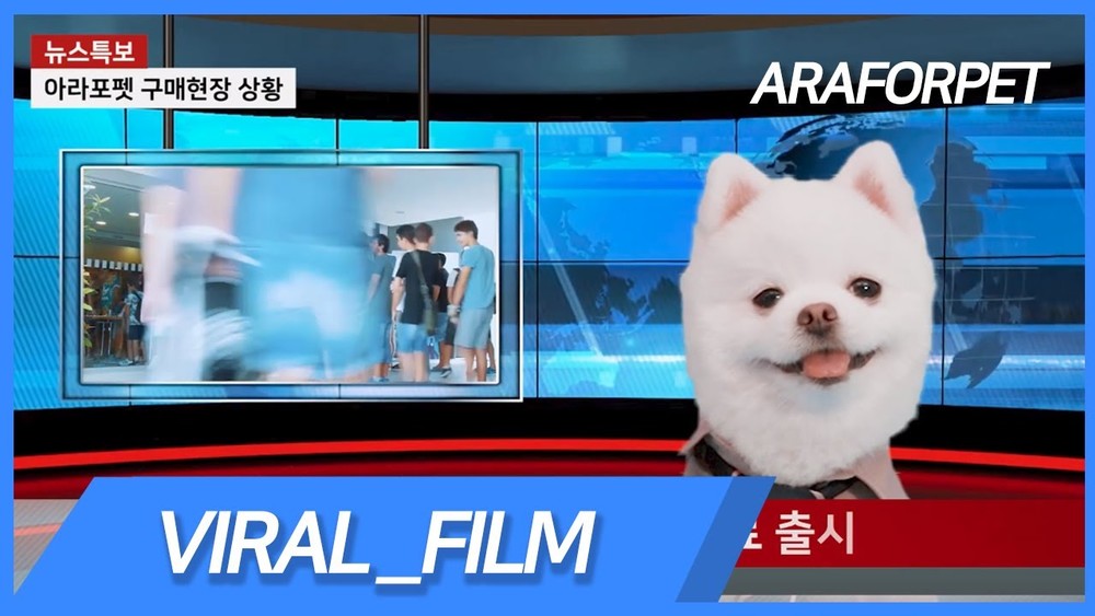 강아지사료 홍보영상 제작