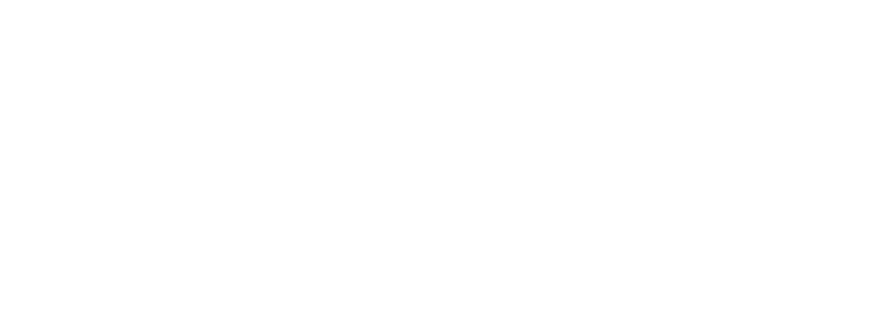 BESPIN GLOBAL