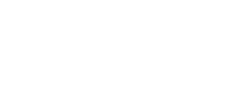 SM INSTITUTE